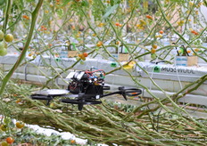 Het blijft een bijzonder zicht en bijzonder knap hoe de drone tussen de tomatenplanten door vliegt. Het team uit Brazilië had een goede eerste vlucht. Toch waren er nog wat aanpassingen nodig om de vlucht af te kunnen maken. In de middag deden ze nog een poging.